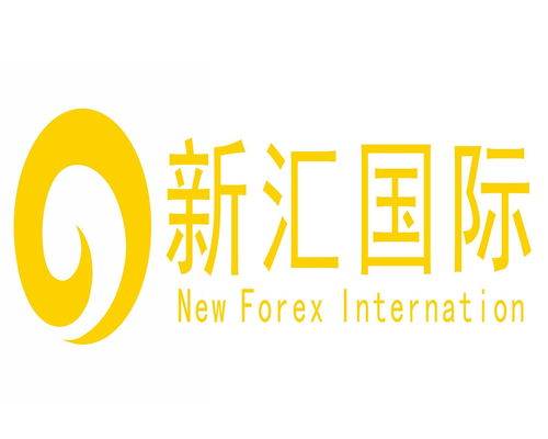 深圳市新汇国际信息技术咨询 专业的信息技术咨询服务助力企业数字化转型