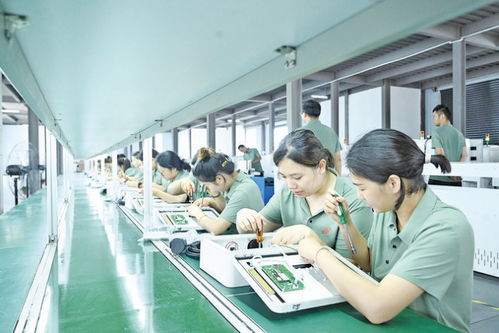 市委八届十次全会决议图解 信息技术咨询服务助力城市数字化新跃升